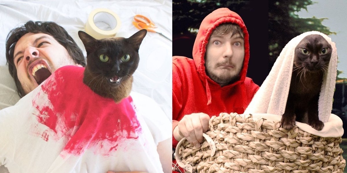 Guy And His Cats Recreate Famous Movie Scenes Together Love Meow Guy And His Cats Recreate Famous Movie Scenes Together Love Meow