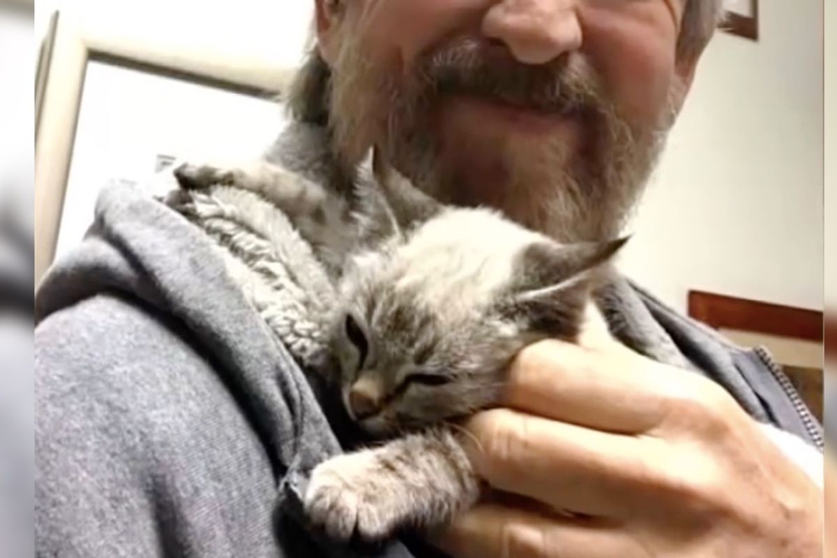 Delivery Driver Hears Kitten Cries From His Truck and Finds the Toughest Little Guy