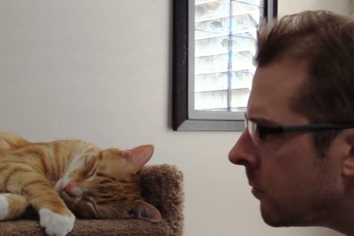 Cat Man Chris Responds to the Guy Who Vengeance Meowed in His Cat's Face