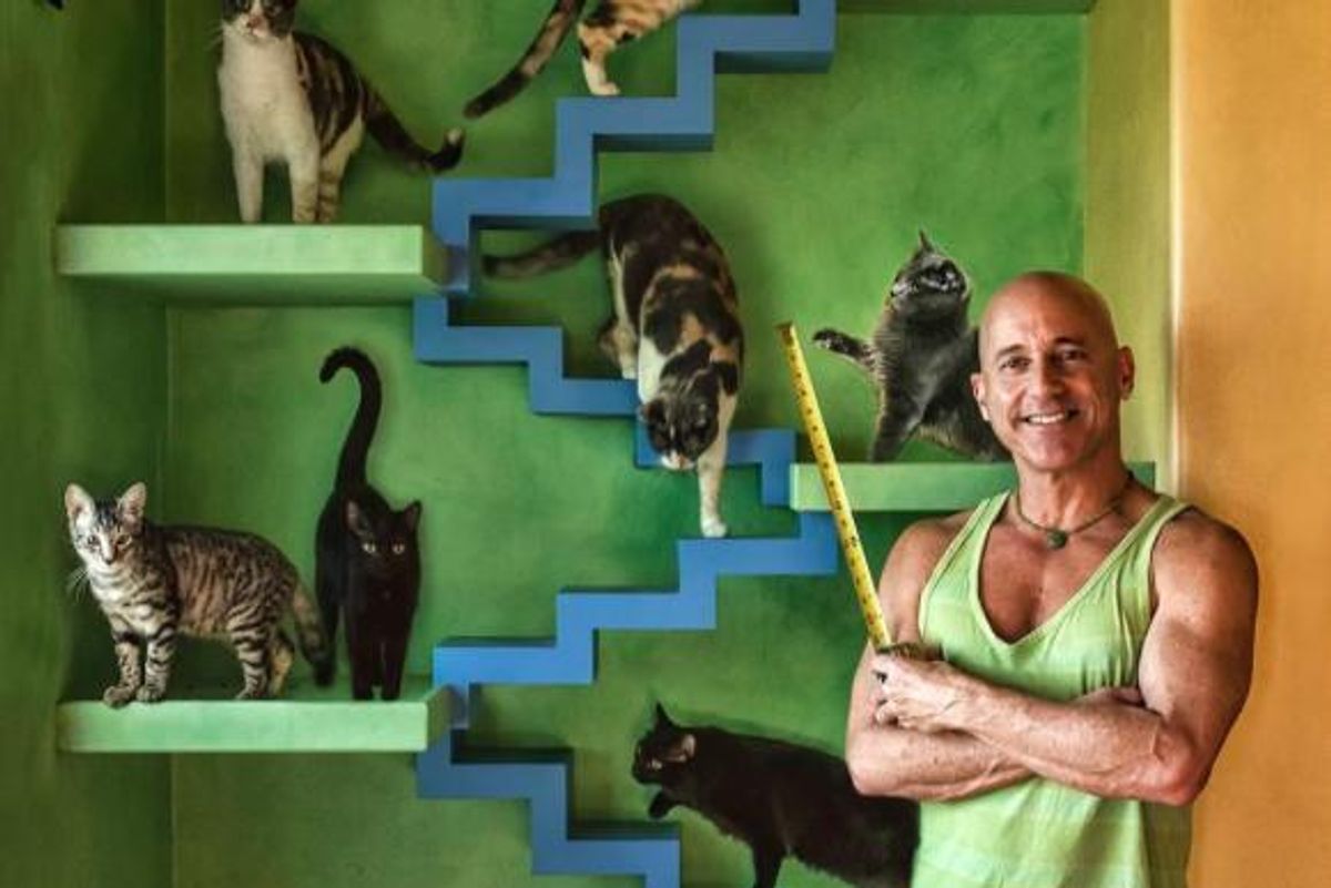 Man Transforms His House into Cat Paradise for His 22 Rescued Cats