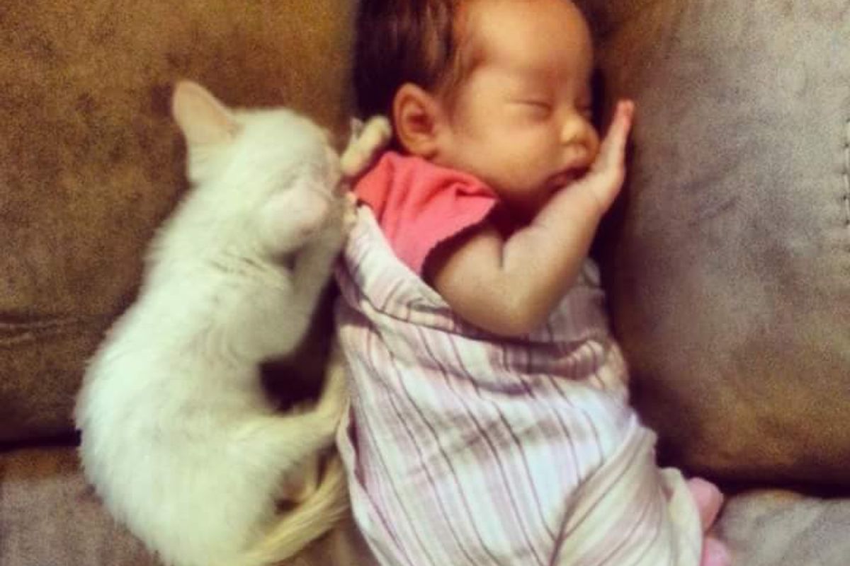 Tiny Kitten Bonds with Baby Girl and Becomes Her Guardian for Life, Then and Now