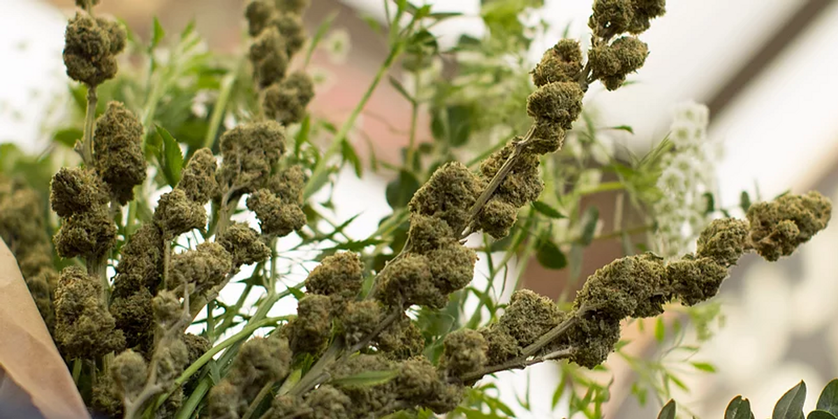Say "I Love You" This Valentine's Day With A Big Ole Stinky Weed Bouquet