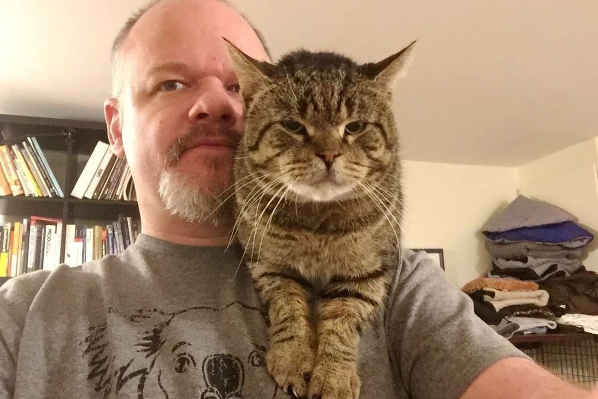 Colony Cat Comes to Rescuers Demanding Food and Bosses His Way to Their Shoulder...