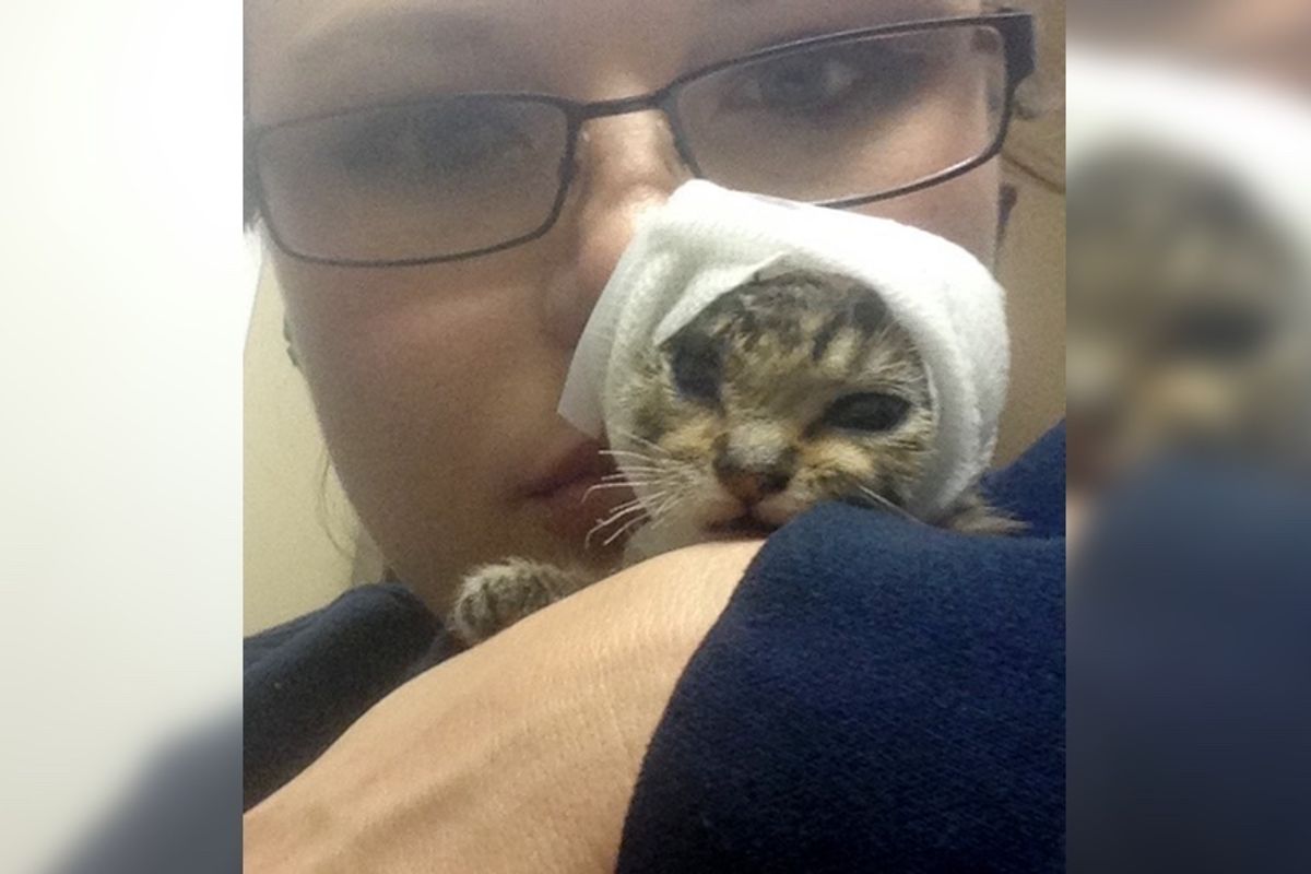 Woman Saves Injured Kitten That No One Would Touch, Now a Year Later...