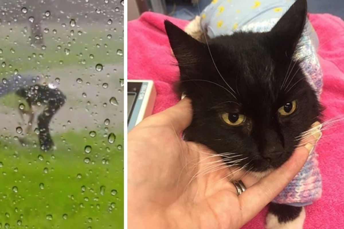 Cat Saved from Drowning in Flood is Brought Back to Life in Tiny Sweater..