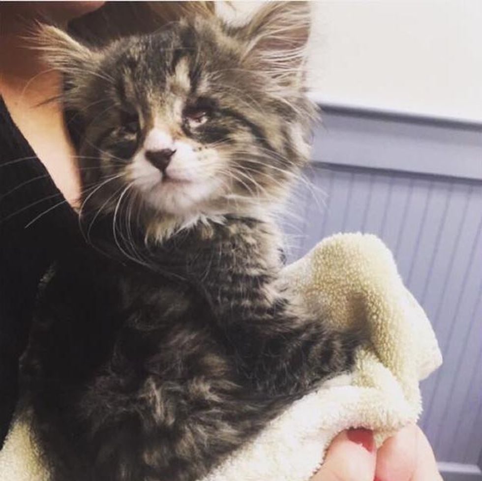 Born With Tiny Eyes