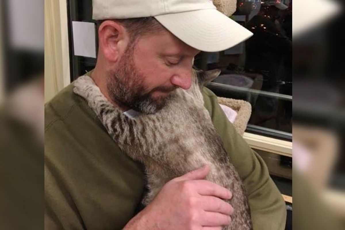 Cat Was So Scared to Leave Hiding But the Moment She Found Her Forever Humans...