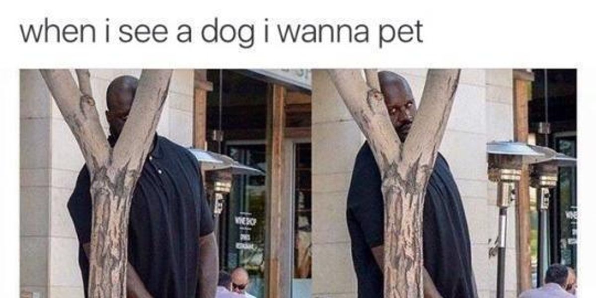 Sunday Funnies