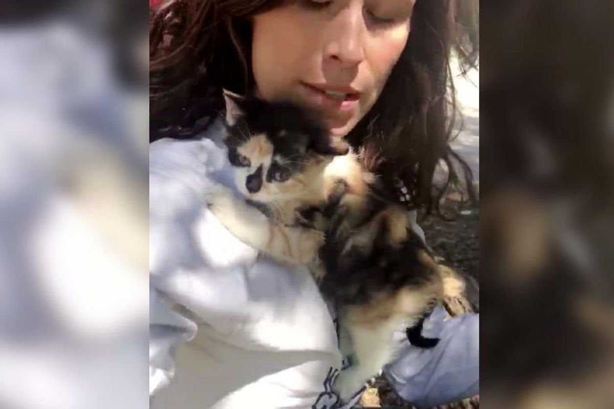 Woman Hugs a Kitten No One Wanted, the Kitty Won't Let Her Go...