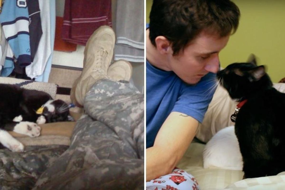 Stray Cat Walked Up to Soldier with Broken Soul and Saved His Life…