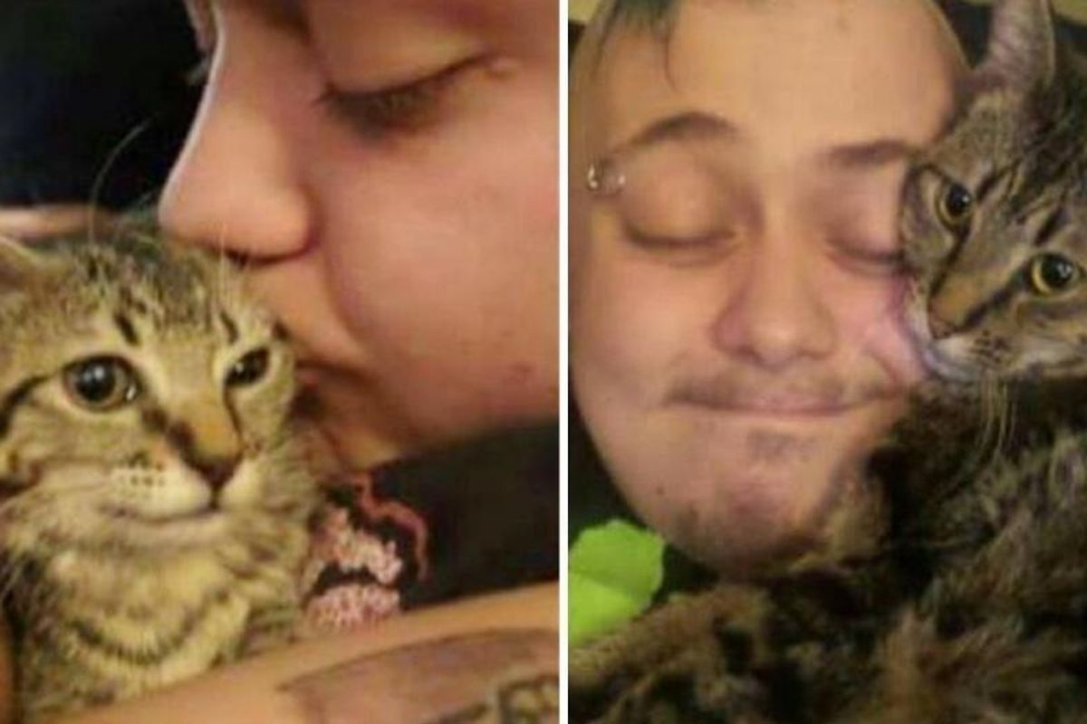 Man Saves Saddest Shelter Cat He's Seen, They Haven't Stopped Cuddling Since...