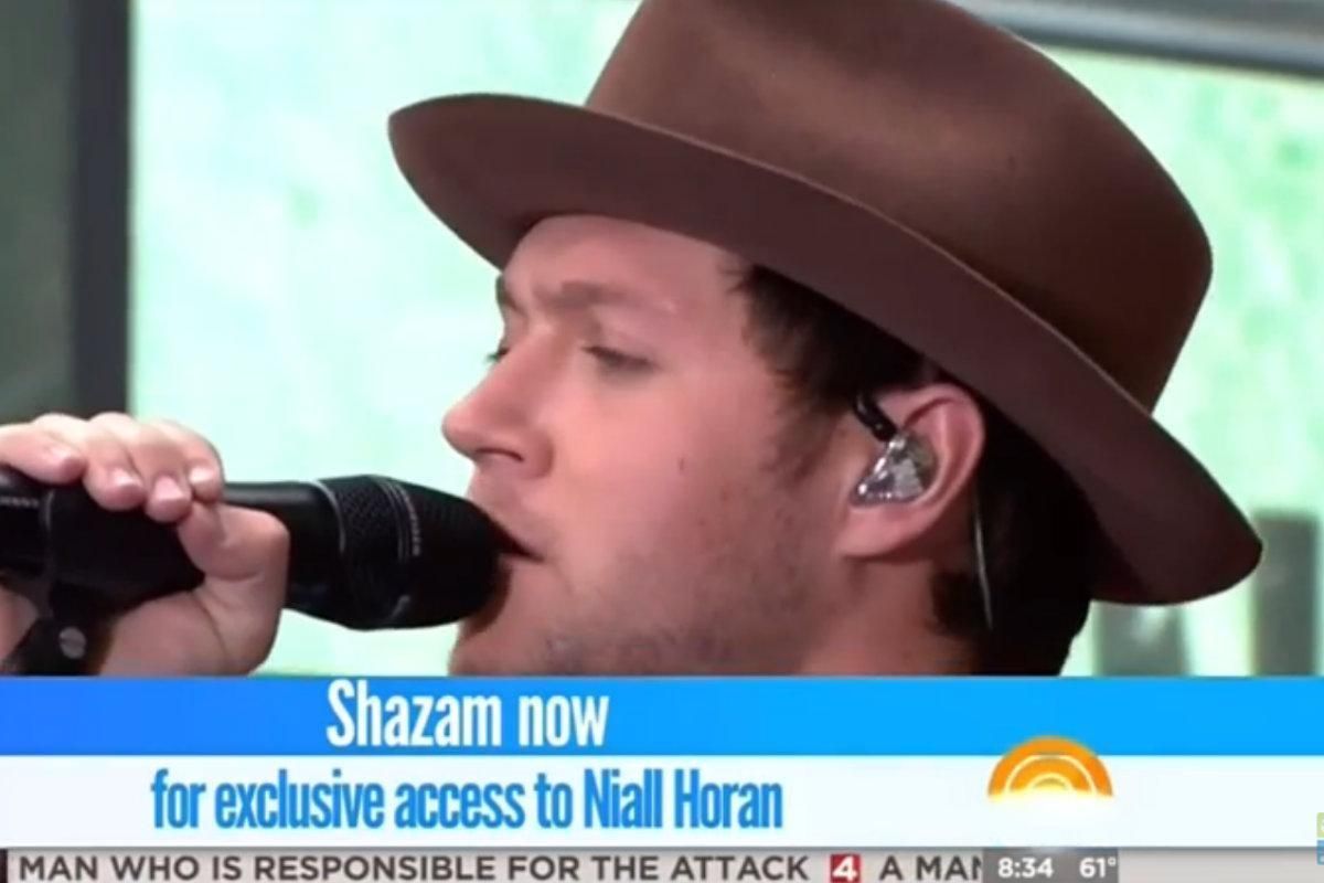 niall horan slow hands today show