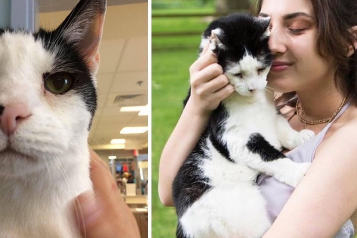 Adopted at 19, Cat Becomes Most Special Prom Date to His Forever Human...
