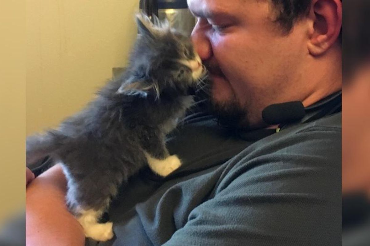 Kitten Cuddles Man Who Never Had a Cat and Makes Him His Forever Human... (More photos)