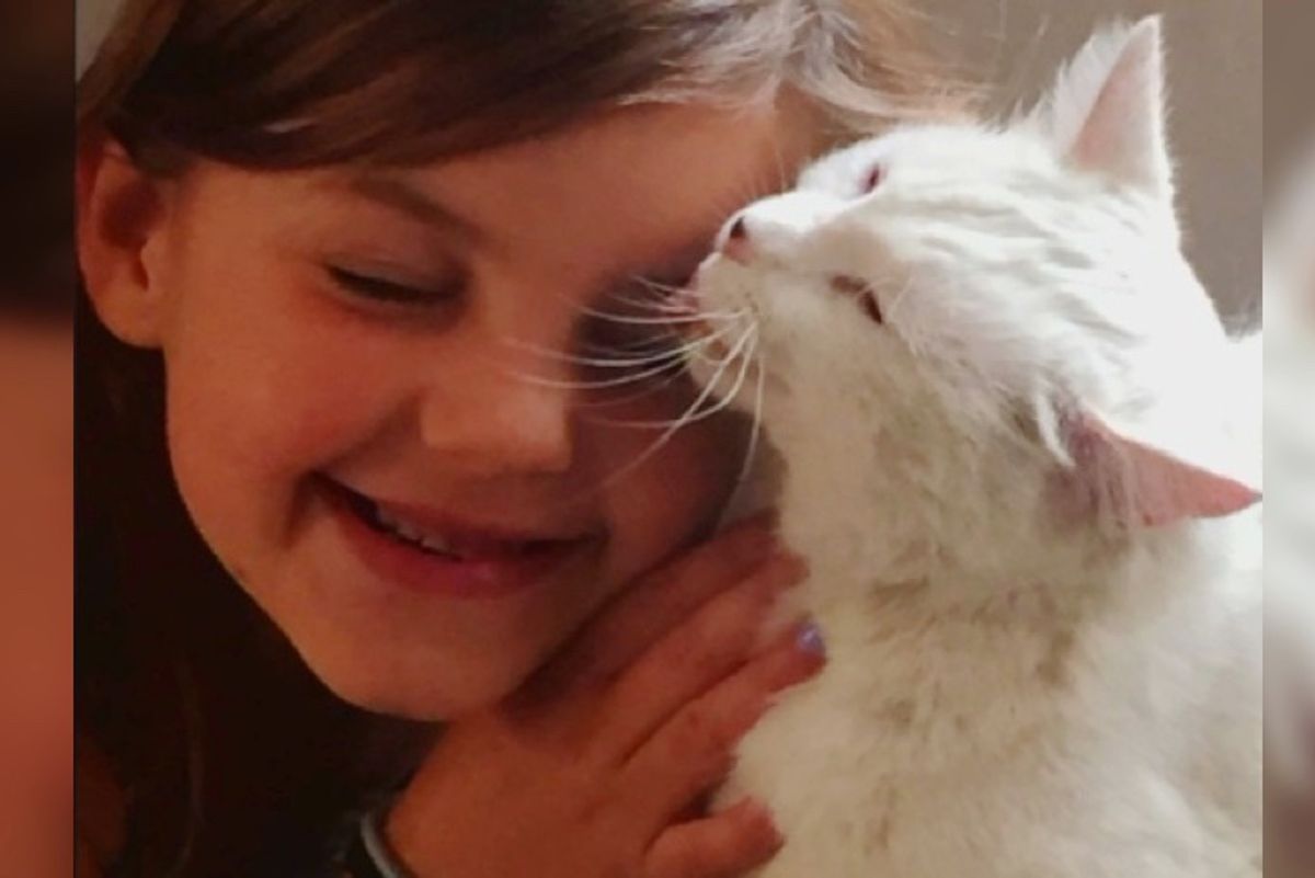 Cat Went Missing After Wildfire Hears Her Best Friend's Call and Comes Running..