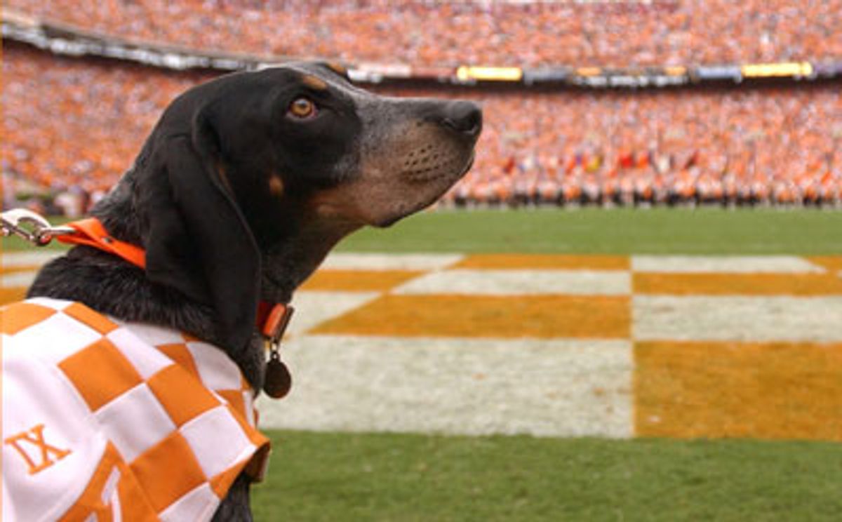 Checkerboard Endzones: A Tennessee Tradition