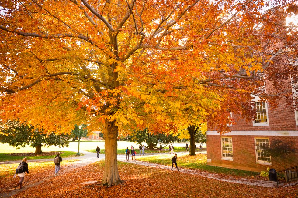 The Best Fall Activities in WinstonSalem