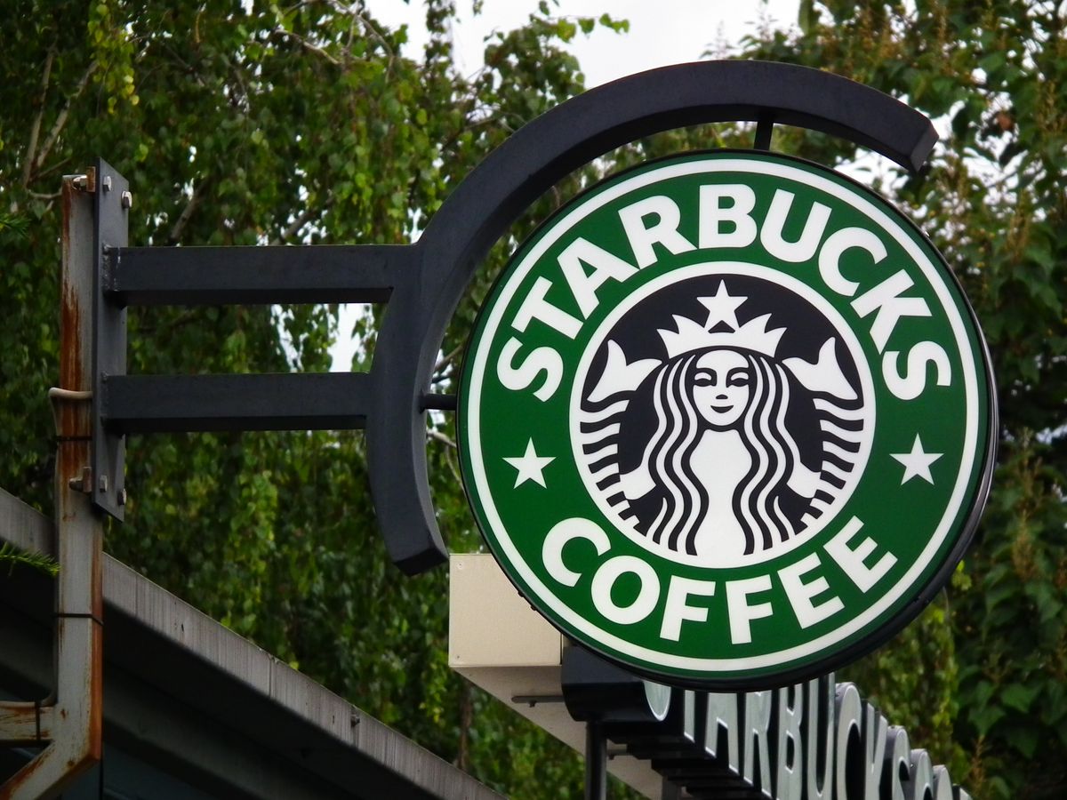 15 Starbucks Orders for Every College Major