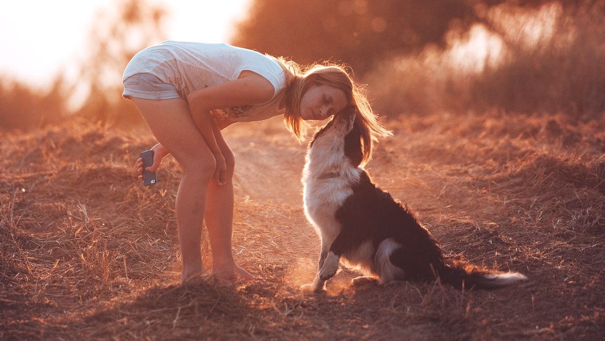 17 Reasons Why Humans Don't Deserve Dogs