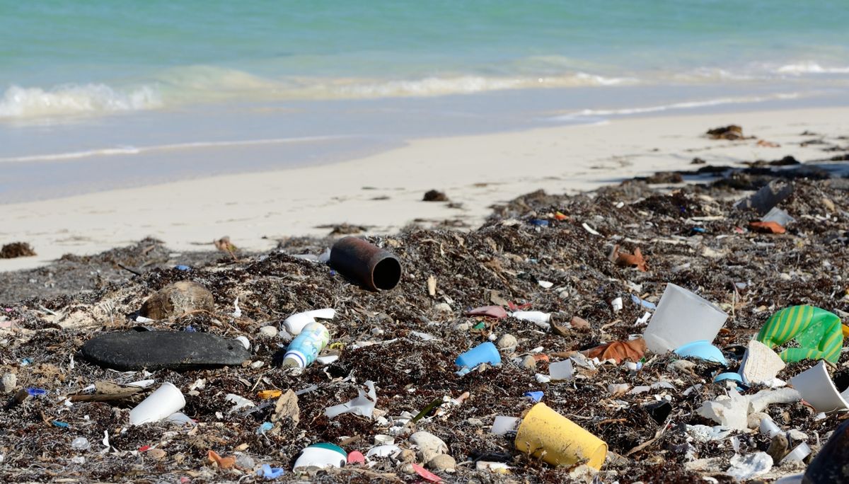Why We Need To Keep Our Beaches Clean