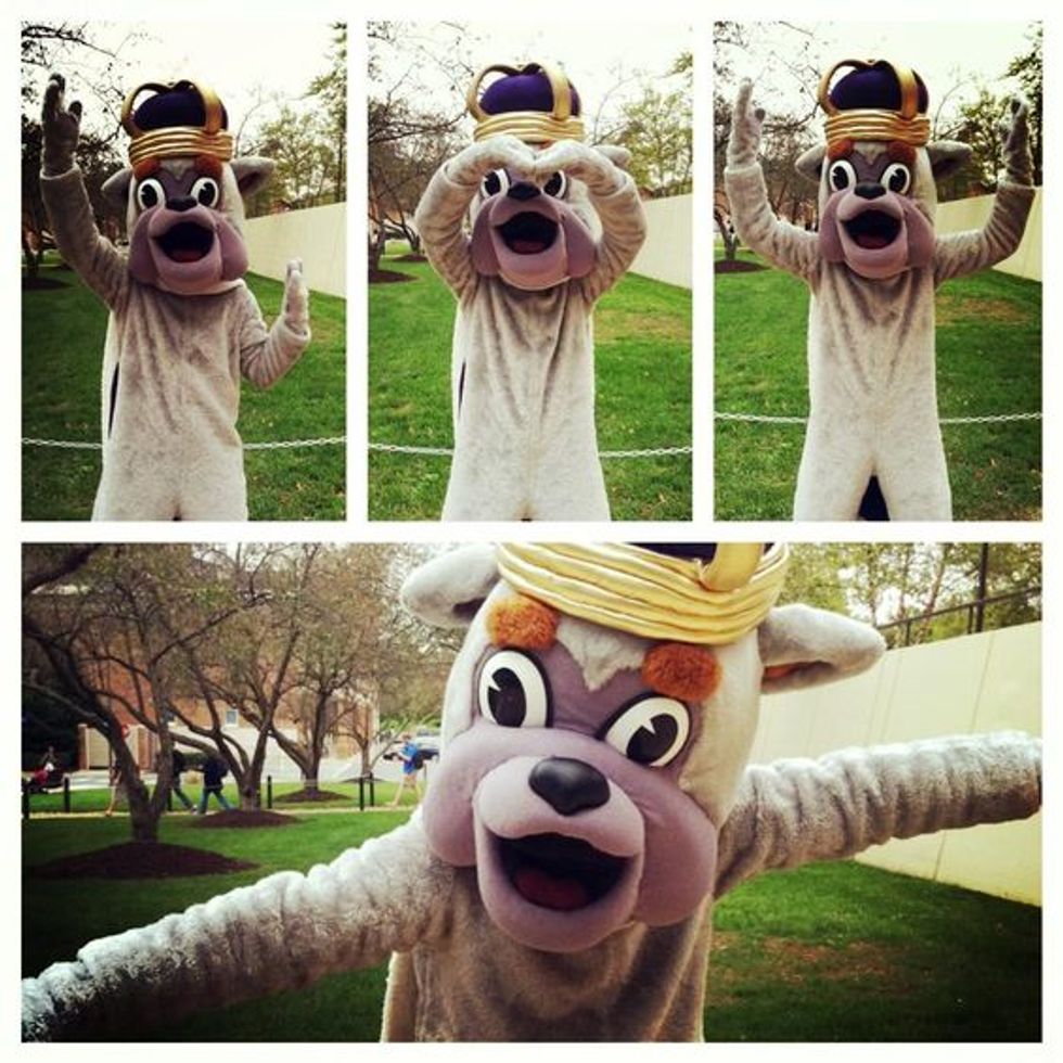15 Things Bound To Happen When You're A JMU FROG