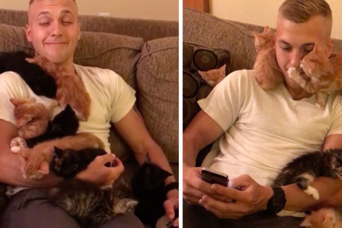 Man Visits 10 Kittens In Need of Love, They Make Him Their Cat Dad On the Spot!