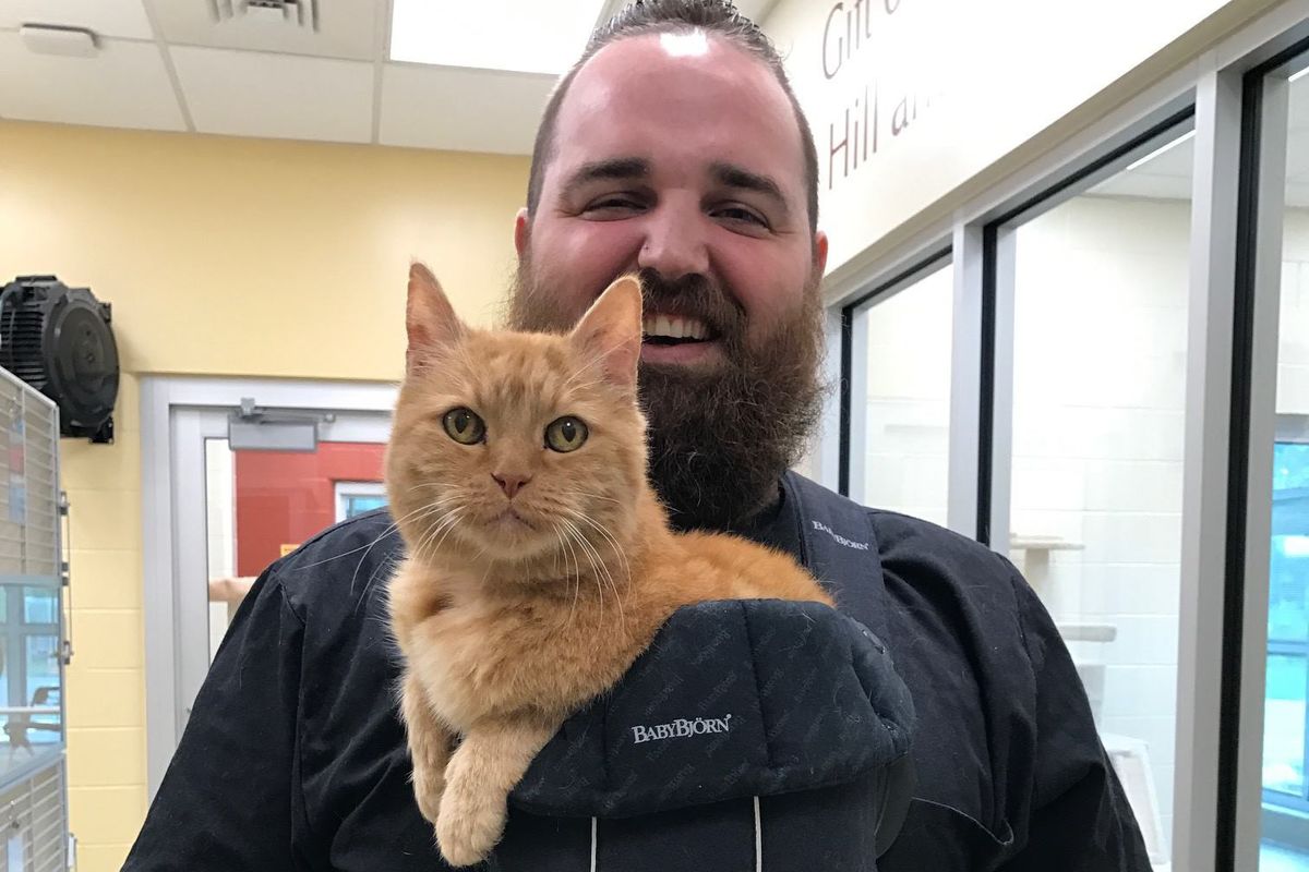 15-year-old Shelter Cat Cries Until He's Held All the Time, So They Come Up With a Solution!