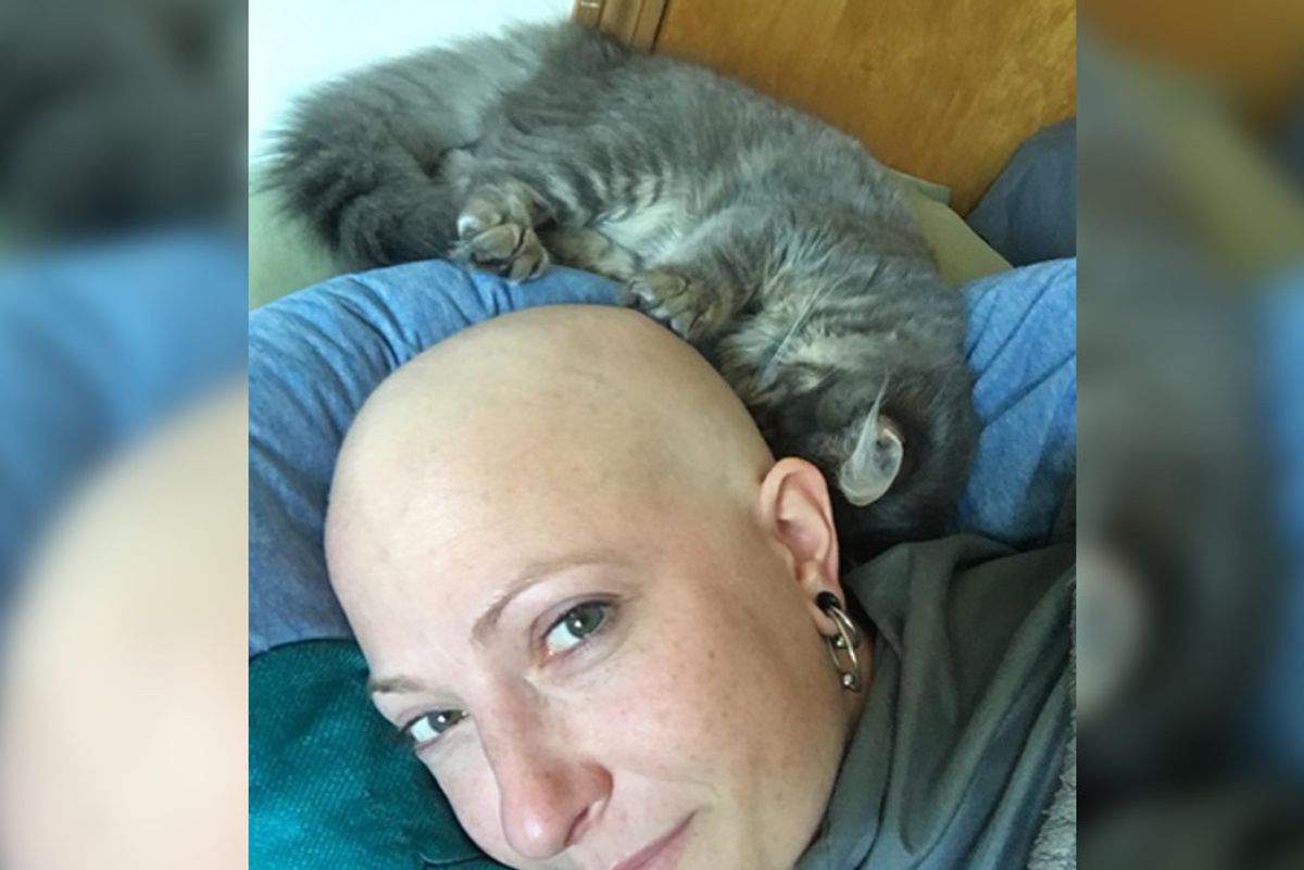 Chemo Takes Her Hair But Her Kitten Keeps Her Head Warm Every Night