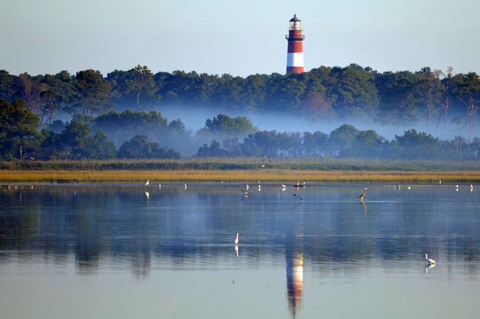 10 Reasons Why You Need To Visit Chincoteague Island