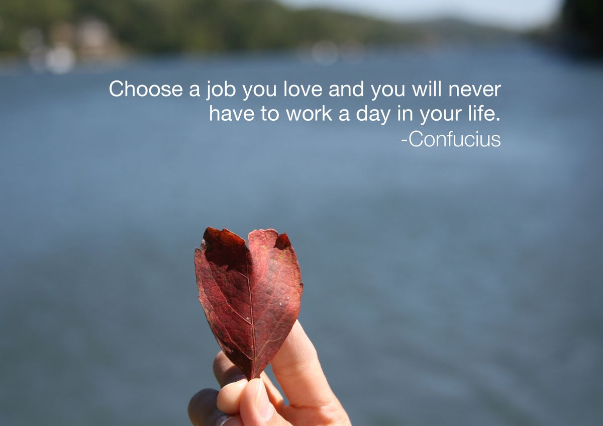 Choose A Career You Love And Choose Passion Over Money