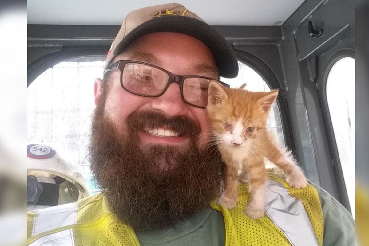 Stray Kitten Found on Pipeline, Snuggles With His Rescuer And Asks Him To Be His Human