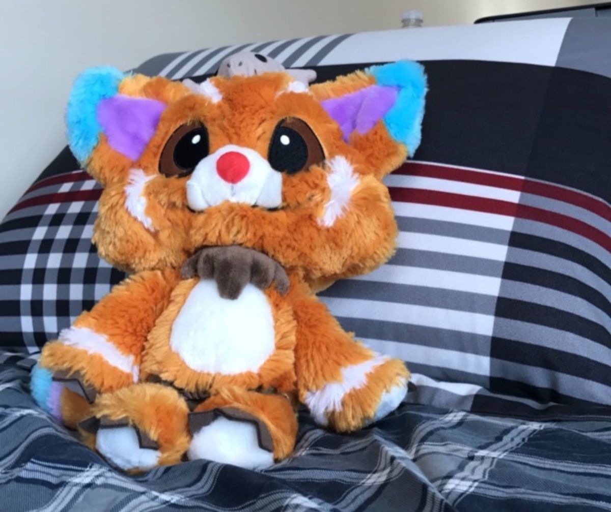 Yes, I'm A College Guy With A Stuffed Animal, And Here's Why
