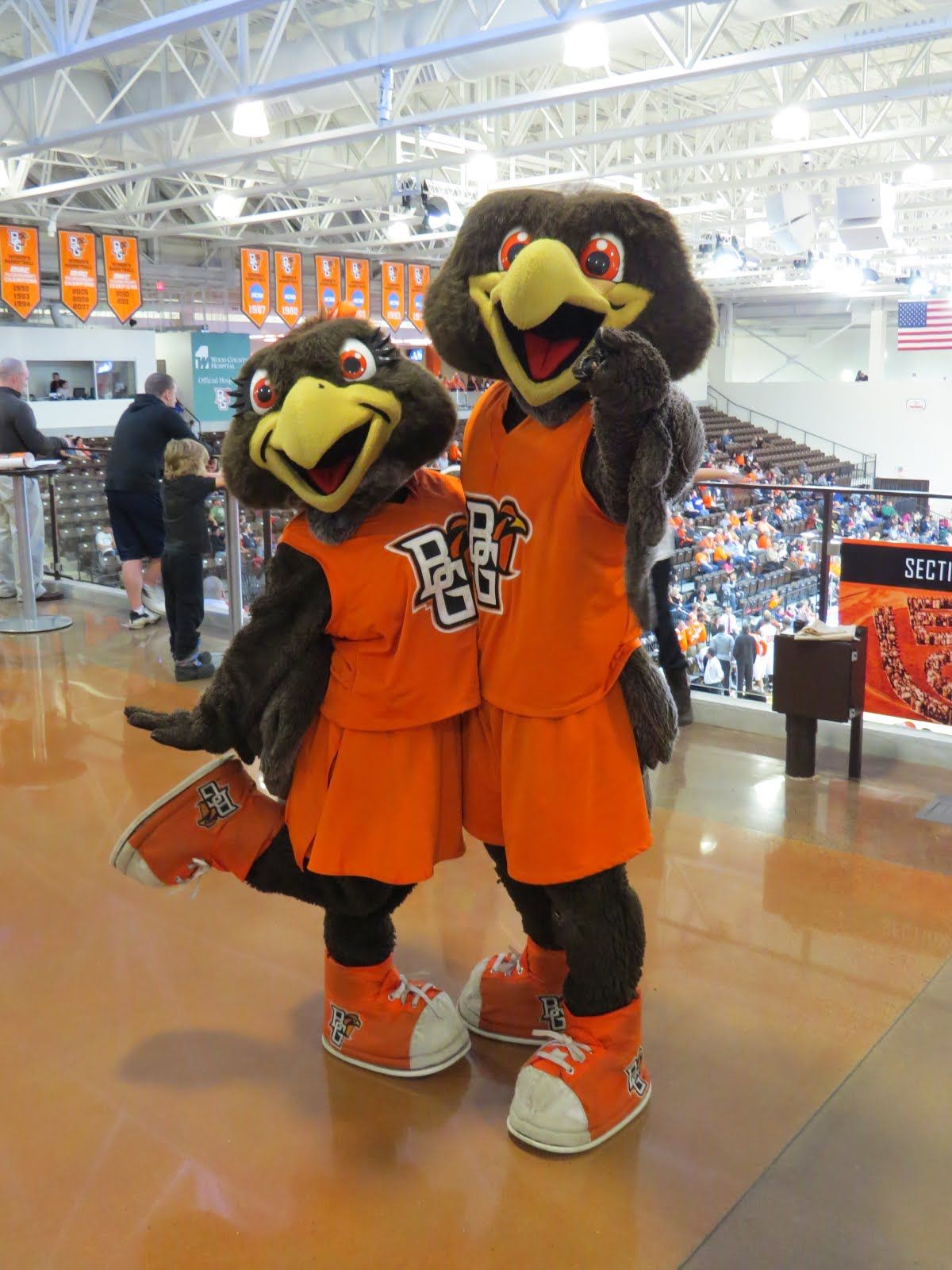 15 Reasons Why BGSU Proves To Be My Dream School