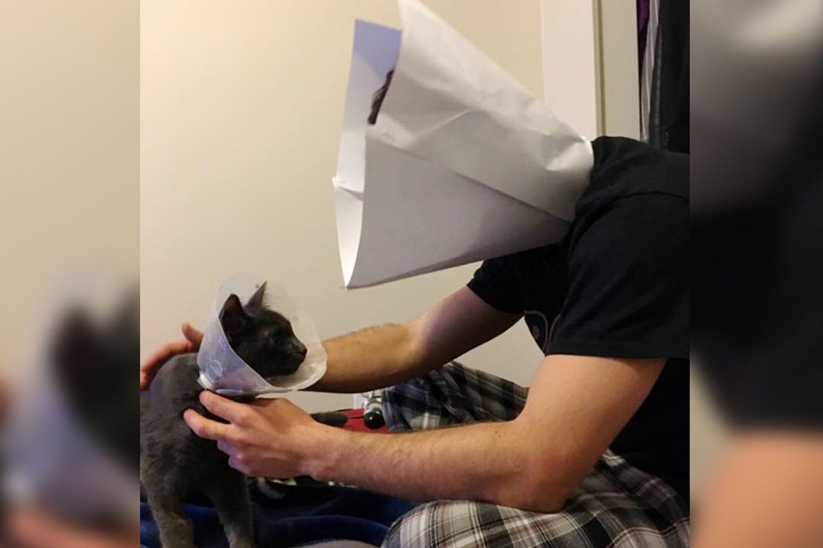 Cat Dad Makes Human-sized "Cone-of-Shame" So His Kitty Doesn’t Feel Alone…
