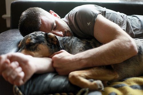 8 Reasons Why You Should Adopt A Rescue Dog