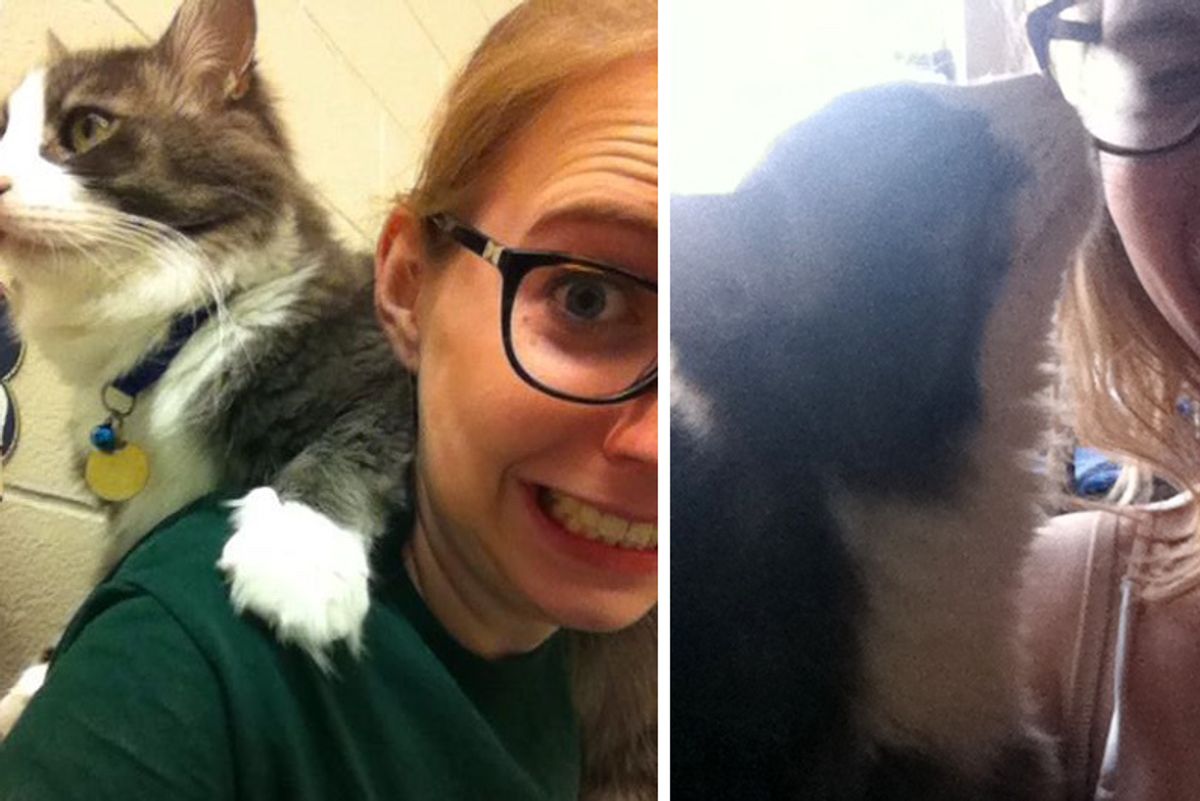 Woman Went to Shelter to Just Volunteer But Came Out with Cat Clung to Her Shoulder…