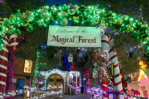 coupon code magical forest las vegas nv