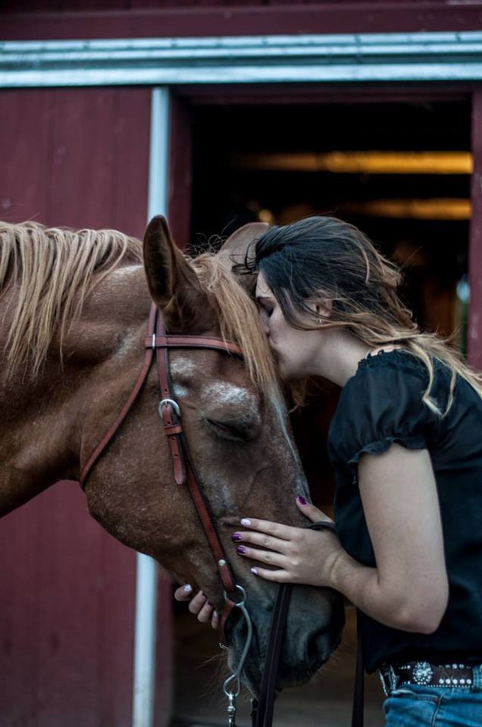 When You Give A Horse A Girl