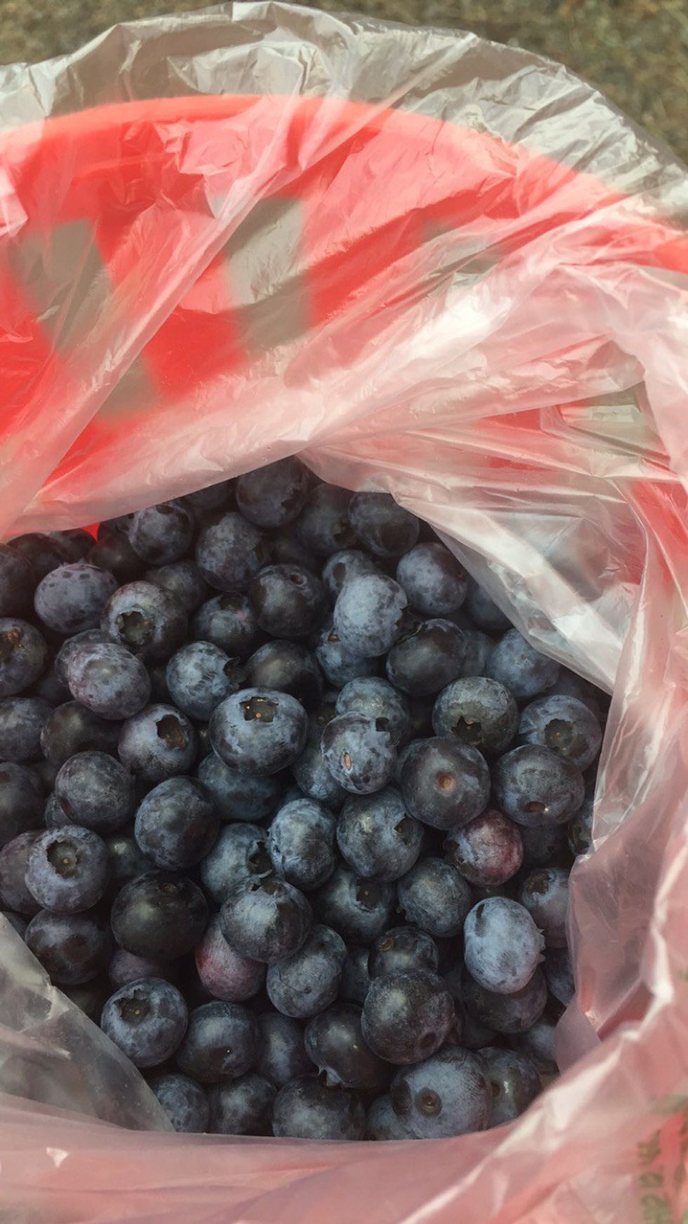 10 New Jersey Foods That You Need To Try