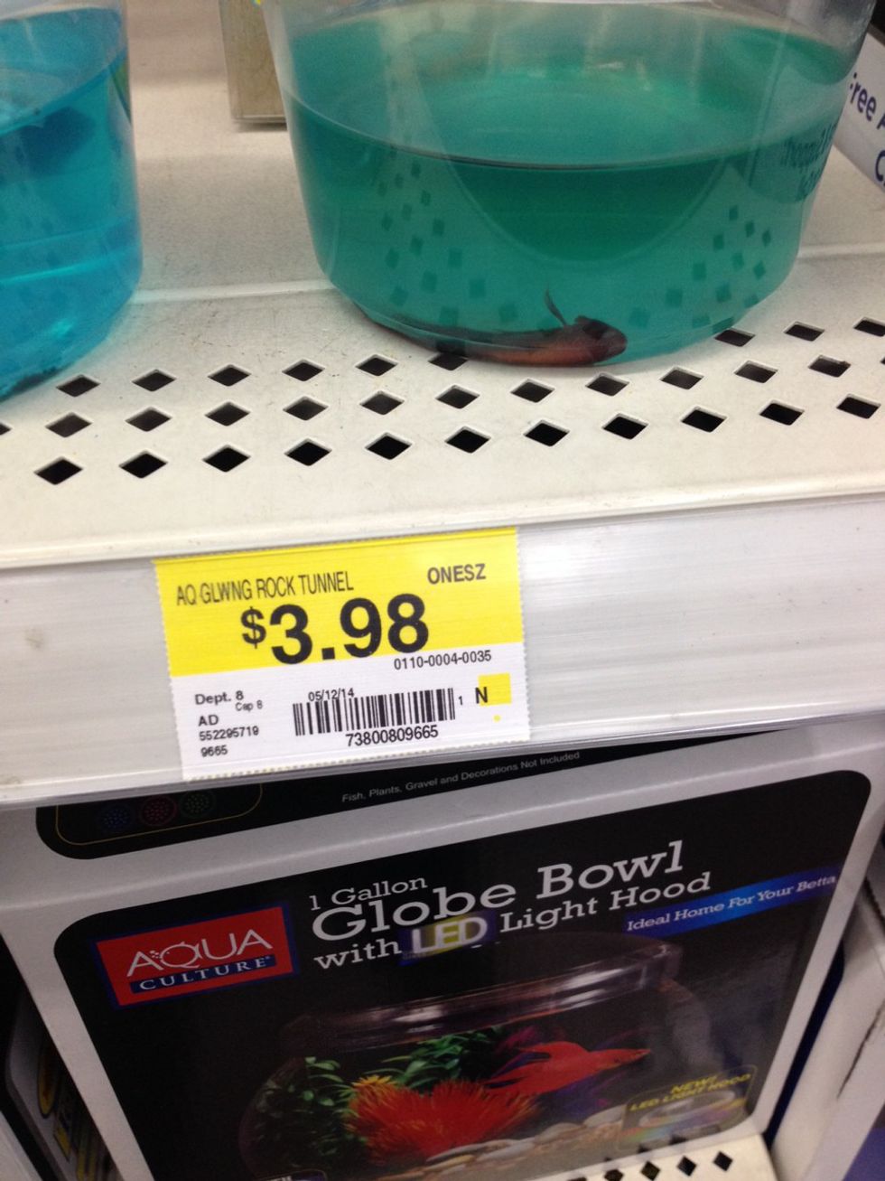 Dear Walmart, Stop Selling Fish