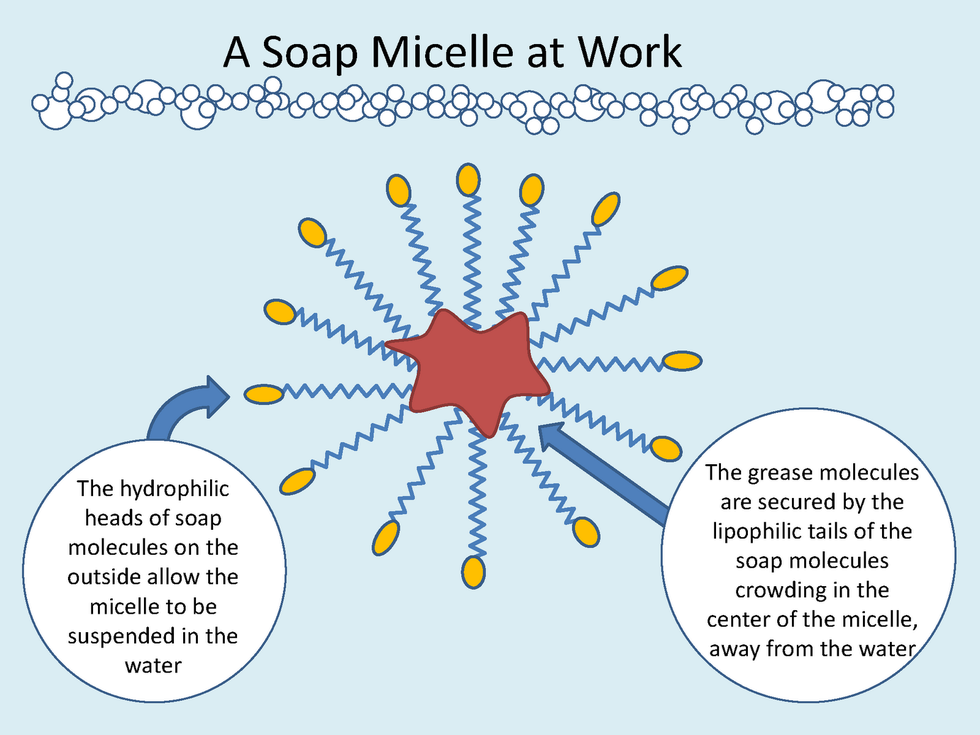 How Does Soap Work?
