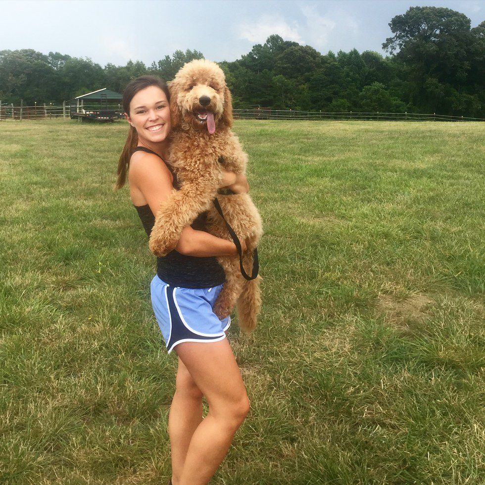 12 Reasons Everyone Should Own A Dog In College