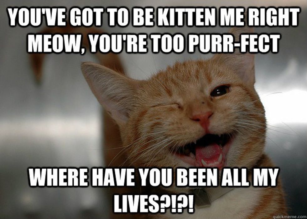 7 Reasons Why Cats Are Actually The Perfect Spirit Animals