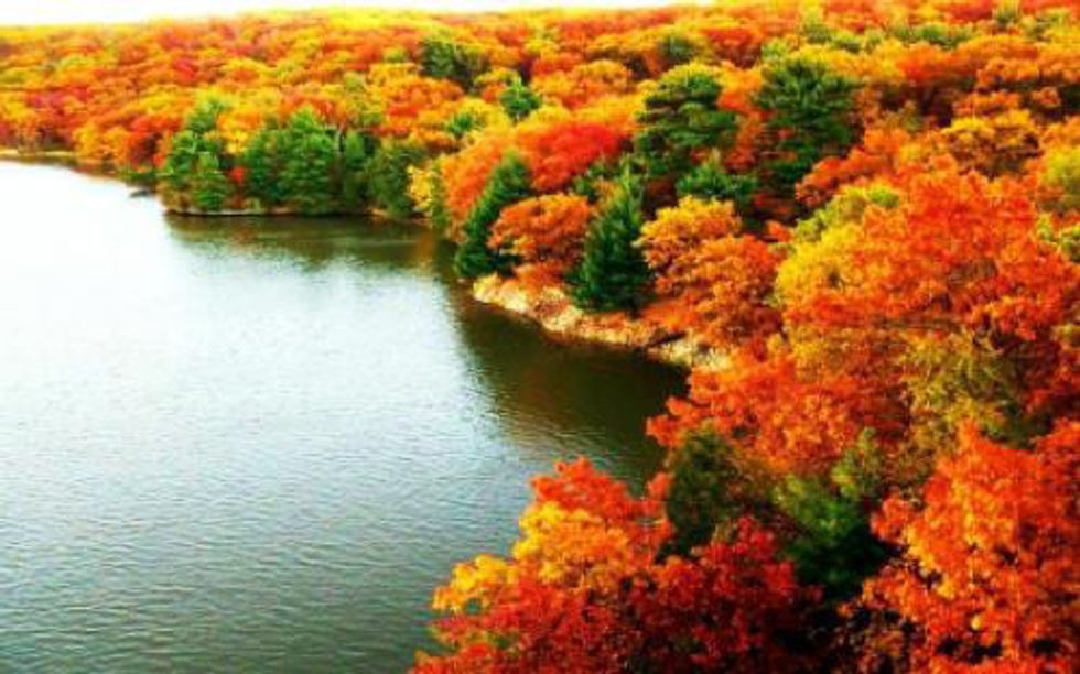 10 Times Michigan's Fall Scenery Captured Your Heart