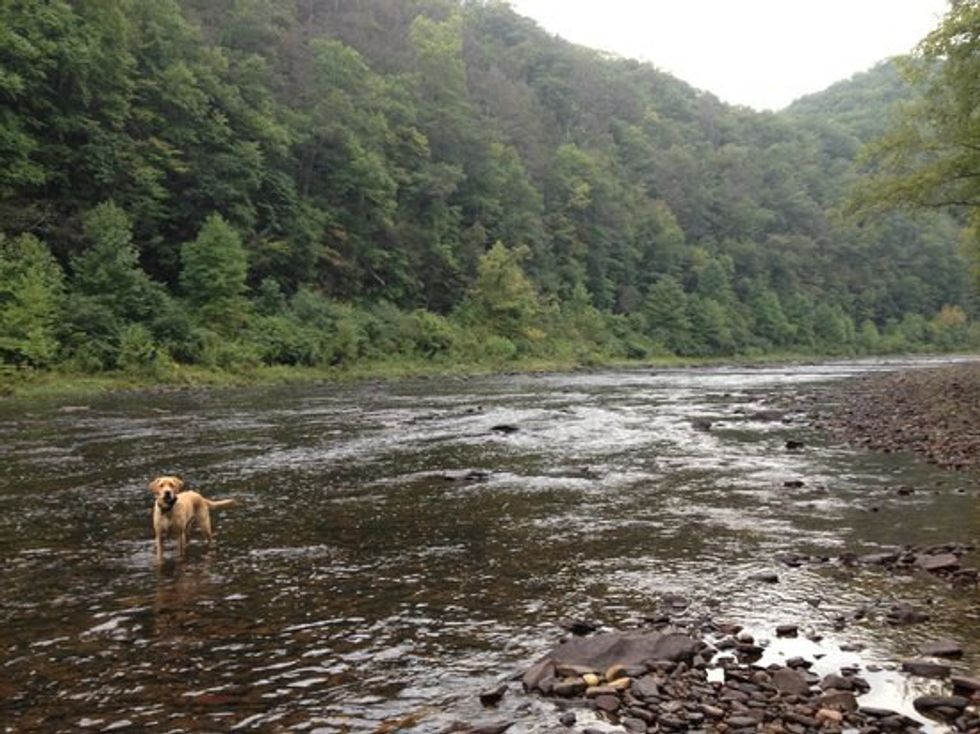 4 Of The Best Places To Hike In West Virginia