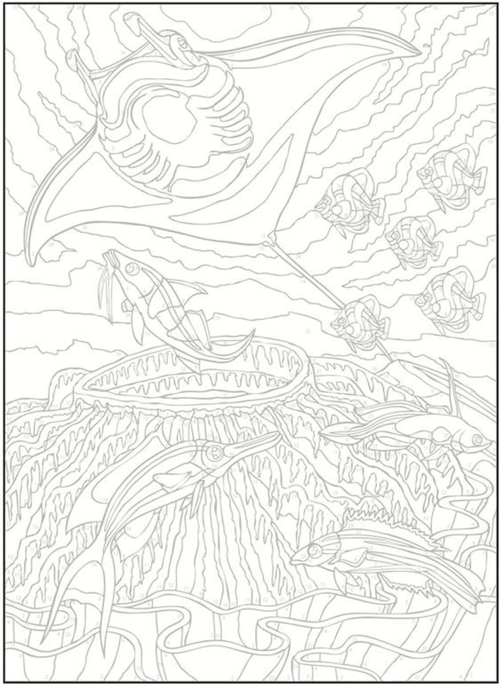 Why Coloring Is Good For YouPlus My Top Picks