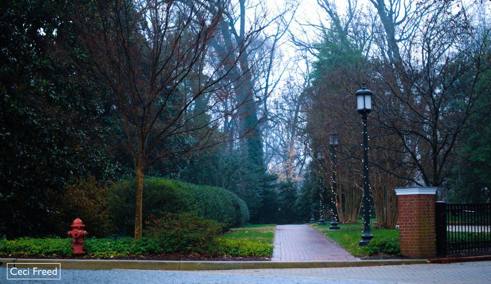 22 Photos That Show How Beautiful Johns Hopkins Is In The Winter