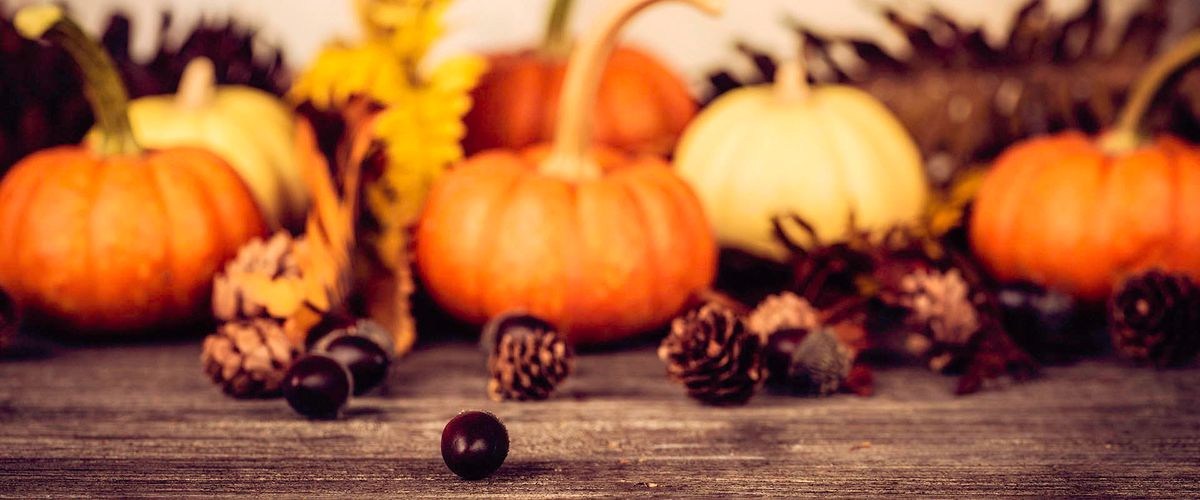 Four Things To Bring To The Thanksgiving Table