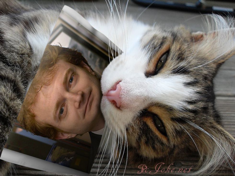 Dear National Review Guy Who Wrote An Open Letter To The 'Cat Person' Girl...