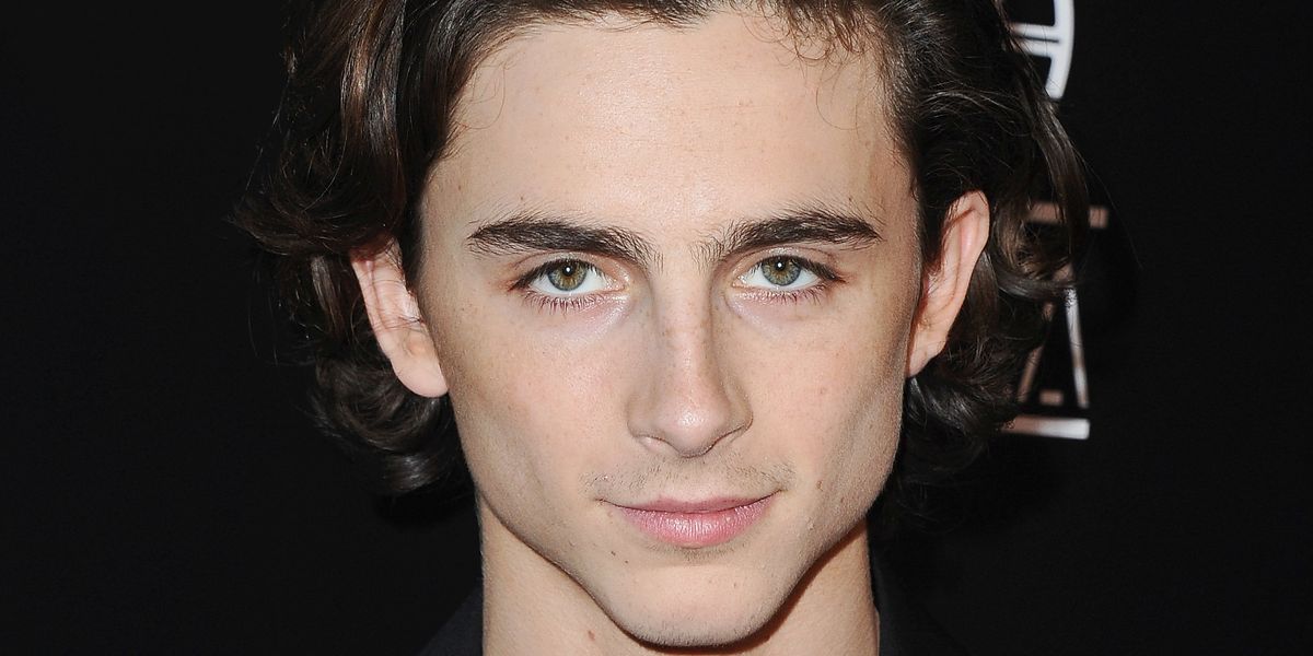 Timothée Chamalet to Donate Salary From Woody Allen Film